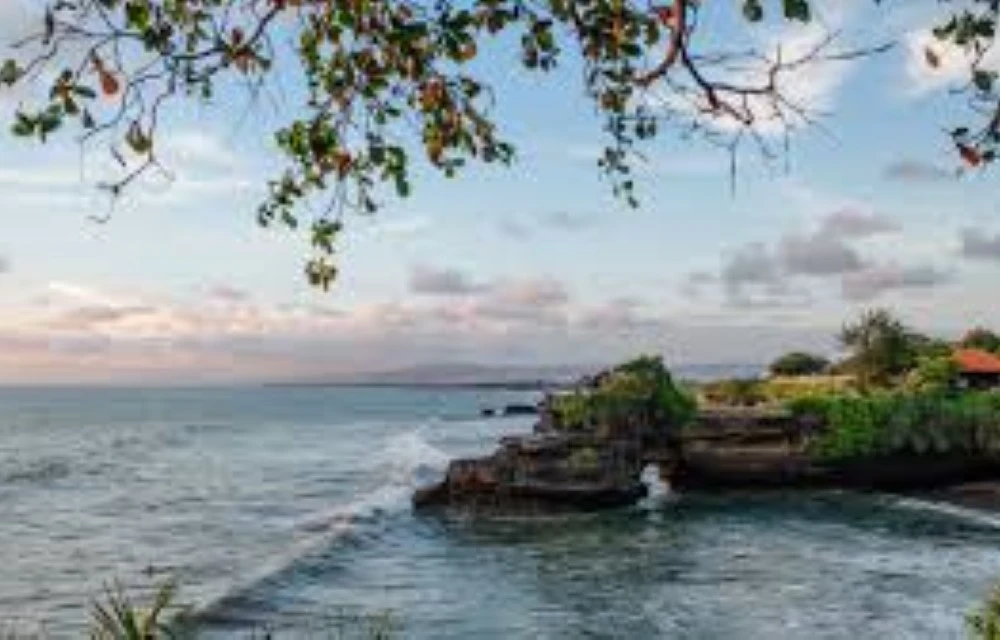 Nyaman Apartments Canggu near Batu Bolong Beach